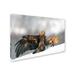 Trademark Fine Art 'Golden Eagle & Red Fox' Photographic Print on Wrapped Canvas Canvas | 12 H x 19 W x 2 D in | Wayfair 1X02398-C1219GG