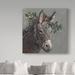 Trademark Fine Art 'Mary Beth the Christmas Donkey' Graphic Art Print on Wrapped Canvas in Brown/Gray/Green | 14 H x 14 W x 2 D in | Wayfair