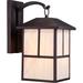 Loon Peak® Raci Claret Bronze Frosted Glass Outdoor Wall Lantern Metal in Brown | 17.63 H x 10 W x 13.13 D in | Wayfair LNPE1431 44540334