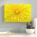 Latitude Run® Dandelion - Photograph Print on Canvas in Yellow | 8 H x 12 W x 2 D in | Wayfair LTRN5427 33280429