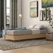 Mercury Row® Teen Shyann Platform Bed Metal in Brown | 50.25 H x 81.75 W x 102 D in | Wayfair C4E5C4CF4ECF48D6B610BB66873DDCA2