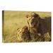 East Urban Home Kenya Masai Mara Reserve Juvenile Males 'African Lion' - Photograph Print on Canvas in Brown | 12 H x 18 W x 1.5 D in | Wayfair