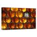 East Urban Home Germany 'Honey Bee Brood Honeycomb w/ Pupa' - Photograph Print on Canvas in Brown | 12 H x 18 W x 1.5 D in | Wayfair