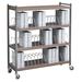 Omnimed Large 45 Cap Vertical Chart File Cart Metal in Brown/Gray | 55.13 H x 49.75 W x 17 D in | Wayfair 260009-WG