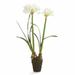 Red Barrel Studio® Double Drop Lilies Floral Arrangements & Centerpieces in Pink/White | 37 H x 11 W x 11 D in | Wayfair RBRS2459 39438316