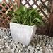 Williston Forge Frey Planter Box Composite/Fiberglass/Concrete in Gray | 18 H x 18 W x 18 D in | Wayfair FA045B130E874509BA820526B75977CE