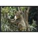 East Urban Home 'Koala Male' Framed Photographic Print on Canvas in Brown/Green | 12 H x 18 W x 1.5 D in | Wayfair URBH5524 38226479