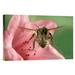 East Urban Home 'Bumblebee Flying Toward the Camera After Collecting Nectar from a Rhododendron Flower' Framed Photographic Print on Canvas Canvas | Wayfair