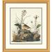 Global Gallery Yellow-Winged Sparrow by John James Audubon Framed Painting Print Metal | 32 H x 29.36 W x 1.5 D in | Wayfair DPF-198194-22-102