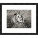 Global Gallery 'African lion, Masai Mara, Kenya' by Frank Krahmer Framed Graphic Art Paper in Gray | 20 H x 24 W x 1.5 D in | Wayfair