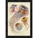 Global Gallery 'Haeckel Nature Illustrations: Jelly Fish' by Ernst Haeckel Framed Vintage Advertisement Canvas in Blue/Yellow | Wayfair