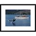 Global Gallery 'Orca Leaping Before Whale Watchers, Johnstone Strait, Vancouver Island, Canada' Framed Photographic Print Paper in Blue | Wayfair