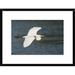 Global Gallery 'Great Egret Flying, Fort Myers Beach, Florida' Framed Photographic Print Paper in Blue/White | 18 H x 24 W x 1.5 D in | Wayfair