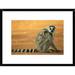 Global Gallery 'Ring-Tailed Lemur Mother w/ Baby Clinging to Her Back, Vulnerable, Berenty Private Reserve | 18 H x 24 W x 1.5 D in | Wayfair