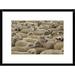 Global Gallery 'Domestic Sheep Herd' Framed Photographic Print Paper | 18 H x 24 W x 1.5 D in | Wayfair DPF-453137-1218-266