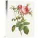 Global Gallery 'Rosa Centrifolia Foliacea' by Pierre Redoute Painting Print on Wrapped Canvas Canvas | 16 H x 12 W x 1.5 D in | Wayfair