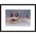 Global Gallery 'Lesser Flamingo Flock Taking Flight from the Surface of A Lake, Kenya' Framed Photographic Print Paper in Blue/Gray | Wayfair