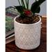 World Menagerie Muge Ceramic Pot Planter Ceramic | 3.5 H x 3.5 W x 3.5 D in | Wayfair 5FBAA67E7E1B48A8BBD95D46561DEACF