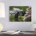 East Urban Home 'Rhododendron Blossoming at Mabry Mill, Blue Ridge Parkway, Virginia' Photographic Print on Wrapped Canvas Canvas | Wayfair