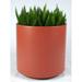 Latitude Run® Junita Plastic Pot Planter in Red | 24" H x 36" W x 27.75" D | Wayfair C42D3F76FC074B2B81222FAA5D7518BF