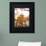 Millwood Pines 'Foggy Days' Framed Photographic Print on Canvas in Green | 14 H x 11 W x 0.5 D in | Wayfair PSL0428-B1114BMF