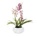 Rosdorf Park Artificial Potted Orchid Silk/Plastic/Fabric in White/Blue | 25 H x 21 W x 22 D in | Wayfair DFFA7DBBF2D3413789C23DF53FF11078