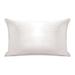 White Noise Plush Polyfill Pillow Polyester/Polyfill/100% Cotton | 20 H x 30 W x 8 D in | Wayfair ANEW2964 43338121