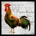 August Grove® 'French Rooster II Poster' Framed Graphic Art Paper in Gray/Green/Red | 12 H x 12 W x 77 D in | Wayfair