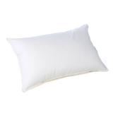 Alwyn Home Himmelmann EnviroLoft Down Alternative Medium Pillow Down Alternative/100% Cotton | 20 H x 26 W in | Wayfair