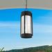 Latitude Run® Adia 2-Bulb 18" H Outdoor Hanging Lantern Glass/Metal/Steel in Black | 18 H x 7.5 W x 7.5 D in | Wayfair