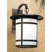 Red Barrel Studio® Arinze 1-Light Outdoor Wall Lantern in Brown | 27.25 H x 14.13 W x 20 D in | Wayfair 0541D285C4204AEBA4A364901C00C741