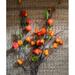 Bay Isle Home™ Artificial Makino Fruit Stem Silk/Plastic in Orange | 39.4 H x 2 W x 1 D in | Wayfair 1E87FEFCFF934D83A4FEEAA7D62DE783