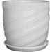 Rosecliff Heights Abernathy 100% Ceramic Pot Planter Ceramic in White | 7.5 H x 7.25 W x 7.25 D in | Wayfair ACE580D3BC1B49CA8A434C86D7374722