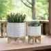 Union Rustic Planter on Stand - Ceramic Planter on Wooden Base – Contemporary Striped Design Indoor or Outdoor Plant Stand Decor Ceramic | Wayfair