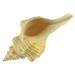 Rosecliff Heights Mccullar Horse Conch Shell Sculpture Stone in Brown/Gray | 8 H x 12 W x 9.33 D in | Wayfair E063E2815D044089BBC27D3A27680CCC