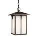 Gracie Oaks Innis 1 -Bulb 13" H Outdoor Hanging Lantern Glass/Aluminium/Metal in Brown | 13 H x 8.375 W x 8.375 D in | Wayfair