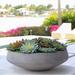 Primrue 2.00" Artificial Succulent Plant in Decorative Vase Plastic/Stone in Gray | 7 H x 3 W x 13 D in | Wayfair 05E7C099DB524C1ABC87B148F523CECF