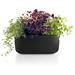 Latitude Run® Self-Watering Pot Planter Ceramic/Plastic in Black | 6 H x 12.2 W x 6 D in | Wayfair F3C3B52B50134EE281A9A924A2E6F990