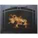 Winston Porter Hakim (Elegant) Cabinet Style Steel Fireplace Door Steel in Black | 30 H x 35 W x 3 D in | Wayfair C9793ABE193D46868DF33B04C5276D6D