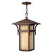 Lark Manor™ Anastatia 1 -Bulb 19" H Outdoor Hanging Lantern Glass/Aluminium/Metal in Brown | 19 H x 11 W x 11 D in | Wayfair