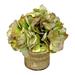 Primrue Hydrangea Centerpiece in Vase Silk in Green | 7" H x 7" W x 7" D | Wayfair 33D7CABA4C3C42FF9398E03E56B716C6