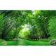 GK Wall Design 3D Photo Jungle Landscape TEXTILE Wallpaper Fabric in Green | 55 W in | Wayfair GKWP000084W55H35_3D
