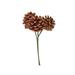 The Holiday Aisle® Pine Cone Pick Stem Wood in Brown | 8 H x 3 W x 3 D in | Wayfair 5F7DAC129B0E4D99B5E612ADE2433925