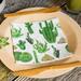 Restaurantware Luncheon Cactus Basic Paper Disposable Napkins in White | Wayfair RWA0723-20