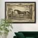 Alcott Hill® Distinguished Horses IV - Picture Frame Print on Canvas Canvas, Solid Wood in Gray | 30.5 H x 42.5 W x 1.5 D in | Wayfair