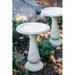 Red Barrel Studio® Dezera Solar Birdbath Plastic in White | 23.5 H x 17.5 W x 17.5 D in | Wayfair B625E32D93A74CA3A0605C8A7FC0D1FF