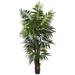 Bay Isle Home™ Pembroke 66" Artificial Palm Tree in Pot Silk/Plastic | 72 H x 48 W x 44 D in | Wayfair BCHH9185 41969938