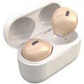 Écouteurs Invisibles Sans Fil avec Micro Bluetooth 5.1 Oreillettes de Sommeil Casque Sans Fil
