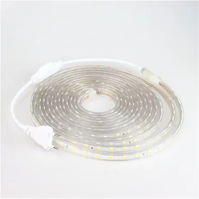 Bande lumineuse LED 5050 220V étanche et Flexible cordon de lampe extérieur 1M 2M 3M 4M 5M 10M