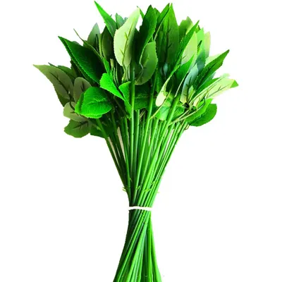 Tige de Fleur Verte Artificielle en Plastique Simulation de Feuilles de Rose Décoration de